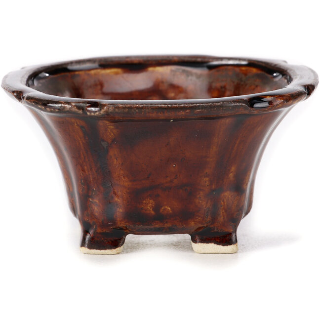 Square brown bonsai pot by Seto - 90 x 90 x 50 mm