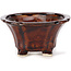 Square brown bonsai pot by Seto - 90 x 90 x 50 mm