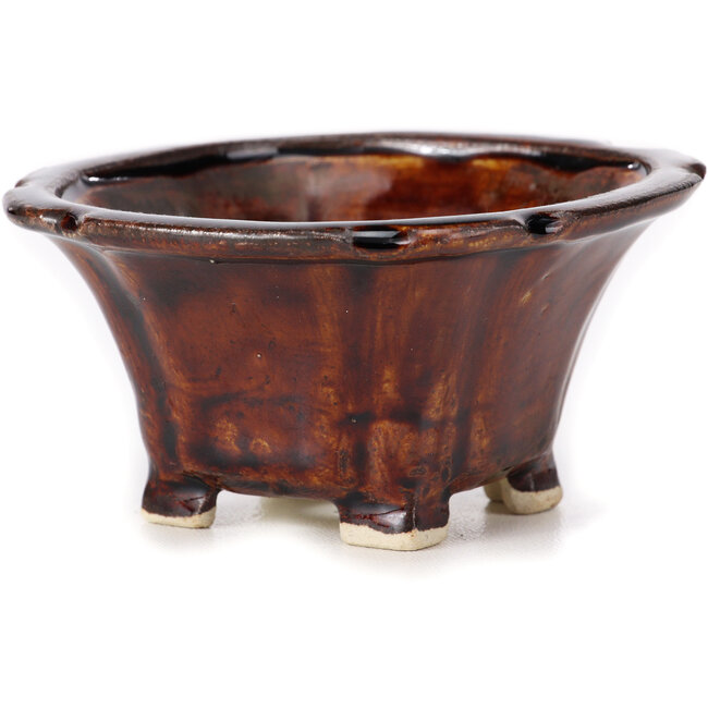 Pot à bonsaï carré marron par Seto - 90 x 90 x 50 mm