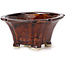 Square brown bonsai pot by Seto - 90 x 90 x 50 mm