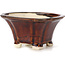 Vaso bonsai quadrato marrone di Seto - 95 x 95 x 50 mm