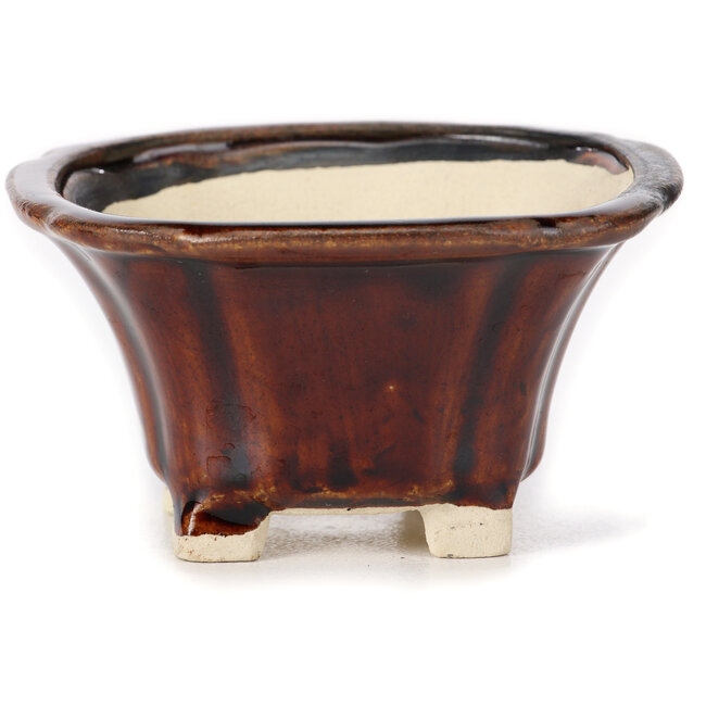 Maceta de bonsái cuadrada marrón de Seto - 95 x 95 x 50 mm