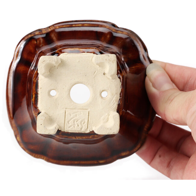 Pot à bonsaï carré marron par Seto - 95 x 95 x 50 mm