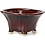 Square brown bonsai pot by Seto - 90 x 90 x 45 mm