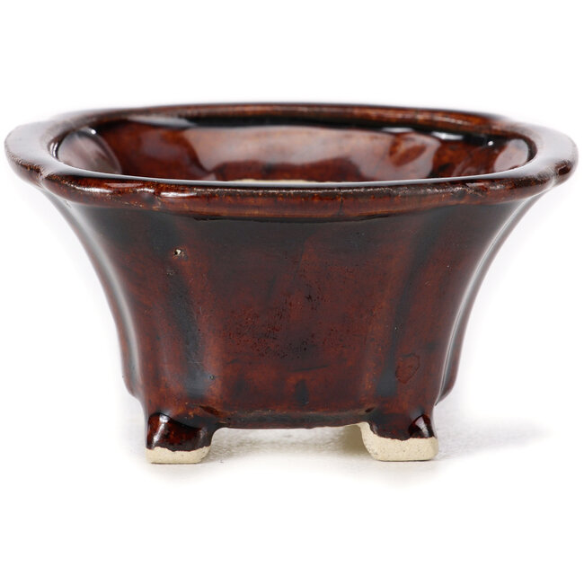 Maceta de bonsái cuadrada marrón de Seto - 90 x 90 x 45 mm