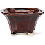 Pot à bonsaï carré marron par Seto - 90 x 90 x 45 mm