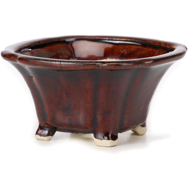 Pot à bonsaï carré marron par Seto - 90 x 90 x 45 mm