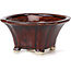 Square brown bonsai pot by Seto - 90 x 90 x 45 mm