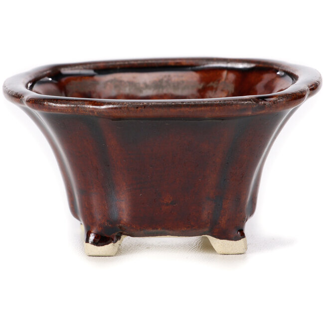 Maceta de bonsái cuadrada marrón de Seto - 90 x 90 x 45 mm