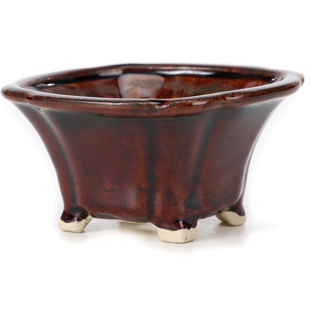 Maceta de bonsái cuadrada marrón de Seto - 90 x 90 x 45 mm