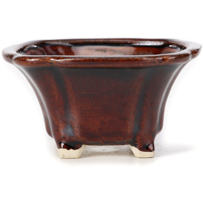 Vaso bonsai quadrato marrone di Seto - 90 x 90 x 45 mm