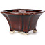 Square brown bonsai pot by Seto - 90 x 90 x 45 mm