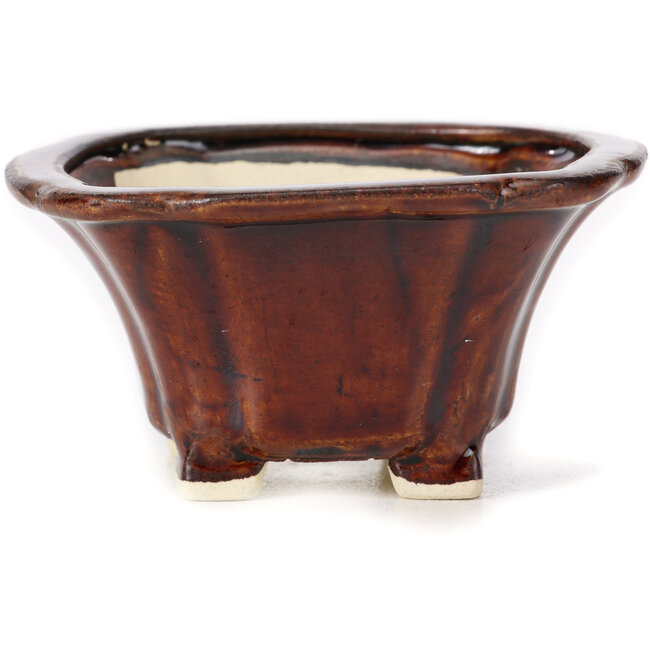 Pot à bonsaï carré marron par Seto - 90 x 90 x 50 mm