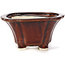 Pot à bonsaï carré marron par Seto - 90 x 90 x 50 mm