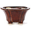 Square brown bonsai pot by Seto - 90 x 90 x 50 mm