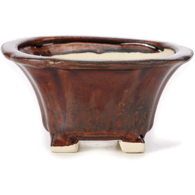 Maceta de bonsái cuadrada marrón de Seto - 90 x 90 x 50 mm