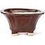 Square brown bonsai pot by Seto - 90 x 90 x 50 mm