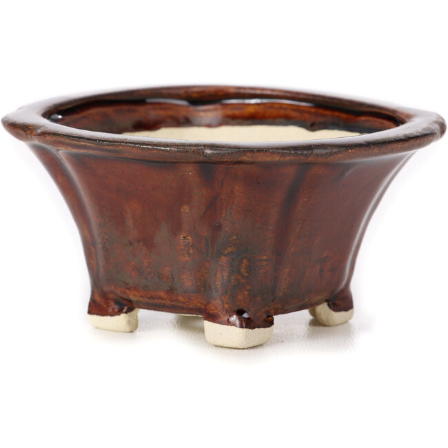 Maceta de bonsái cuadrada marrón de Seto - 90 x 90 x 50 mm