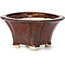Pot à bonsaï carré marron par Seto - 90 x 90 x 50 mm