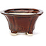 Square brown bonsai pot by Seto - 90 x 90 x 50 mm