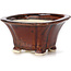 Square brown bonsai pot by Seto - 90 x 90 x 50 mm