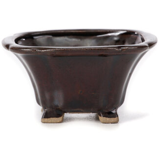 Seto Maceta de bonsái marrón cuadrada de 90 mm de Seto, Japón