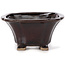 Square brown bonsai pot by Seto - 90 x 90 x 45 mm