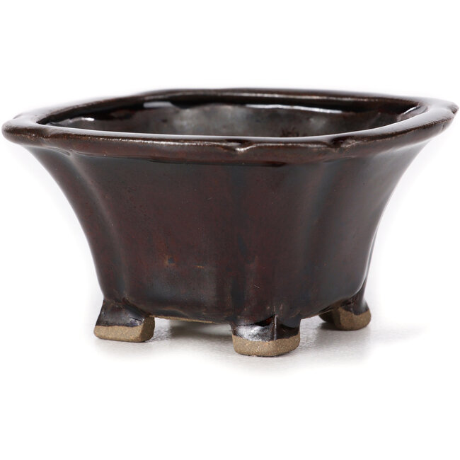 Vaso bonsai quadrato marrone di Seto - 90 x 90 x 45 mm