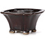 Pot à bonsaï carré marron par Seto - 90 x 90 x 45 mm