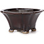 Square brown bonsai pot by Seto - 90 x 90 x 45 mm