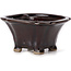 Square brown bonsai pot by Seto - 90 x 90 x 45 mm