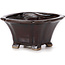 Square brown bonsai pot by Seto - 90 x 90 x 45 mm