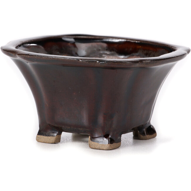 Pot à bonsaï carré marron par Seto - 85 x 85 x 50 mm