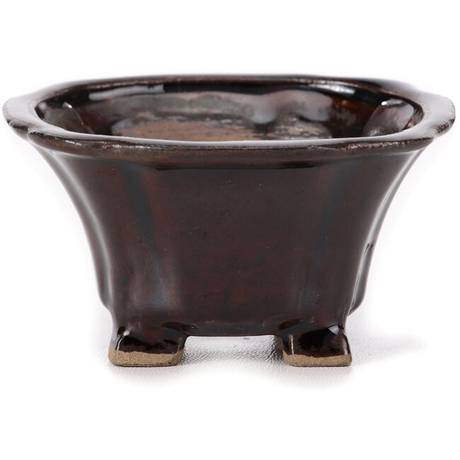 Vaso bonsai quadrato marrone di Seto - 85 x 85 x 50 mm