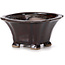 Square brown bonsai pot by Seto - 85 x 85 x 50 mm