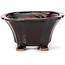 Pot à bonsaï carré marron par Seto - 85 x 85 x 50 mm