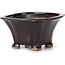 Square brown bonsai pot by Seto - 85 x 85 x 50 mm
