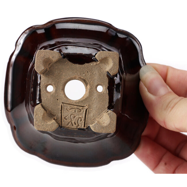 Pot à bonsaï carré marron par Seto - 85 x 85 x 50 mm