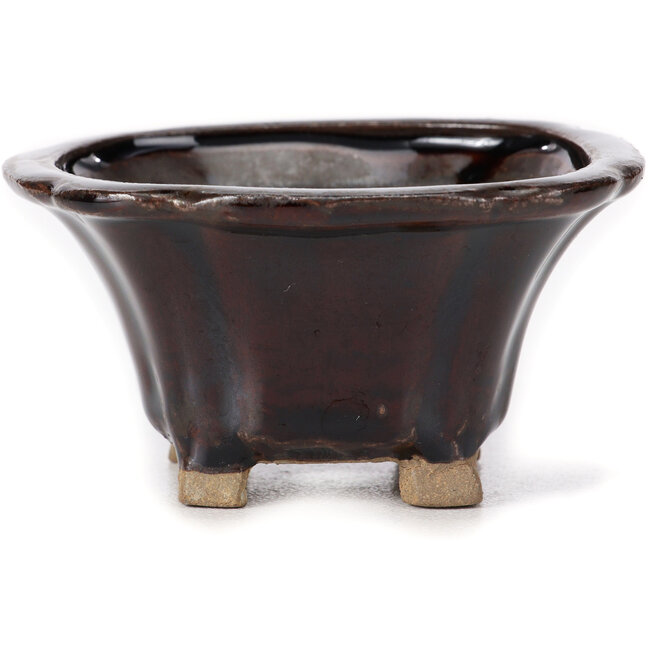 Pot à bonsaï carré marron par Seto - 90 x 90 x 45 mm