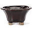 Pot à bonsaï carré marron par Seto - 90 x 90 x 45 mm