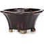 Pot à bonsaï carré marron par Seto - 90 x 90 x 45 mm