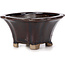 Square brown bonsai pot by Seto - 90 x 90 x 45 mm