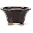 Pot à bonsaï carré marron par Seto - 90 x 90 x 45 mm