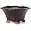 Pot à bonsaï carré marron par Seto - 90 x 90 x 45 mm