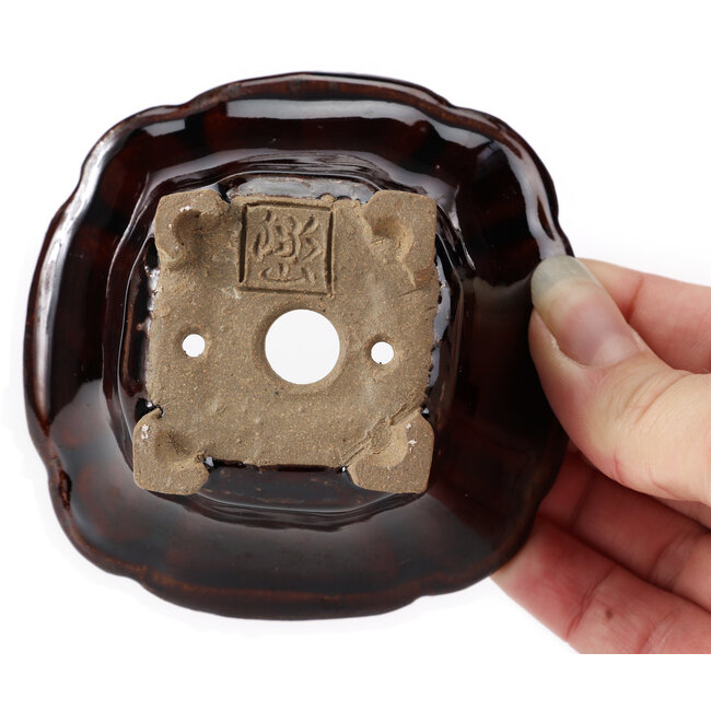 Pot à bonsaï carré marron par Seto - 90 x 90 x 45 mm