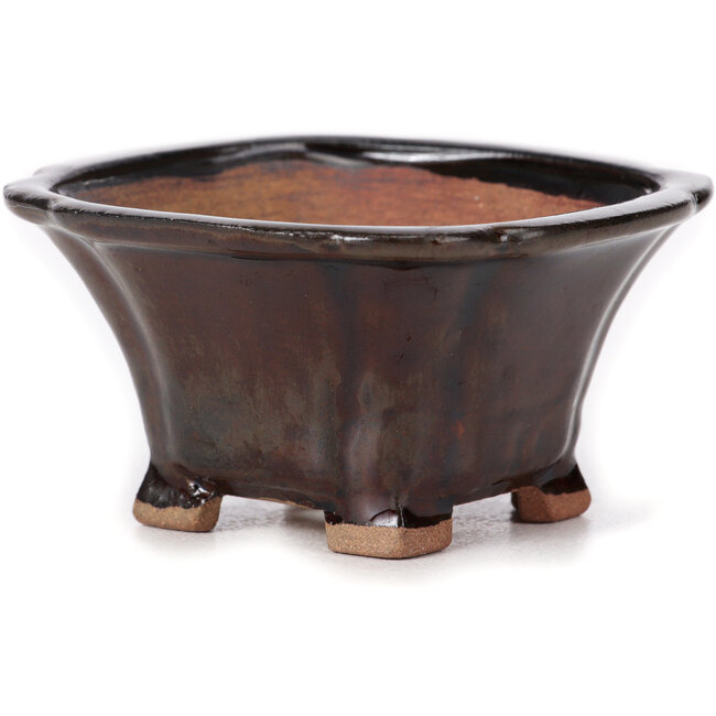 Pot à bonsaï carré marron par Seto - 90 x 90 x 45 mm