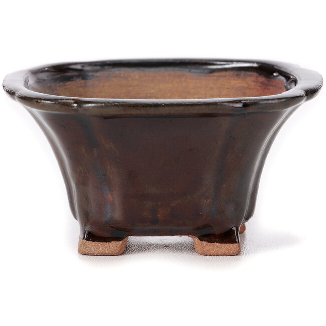 Vaso bonsai quadrato marrone di Seto - 90 x 90 x 45 mm