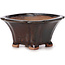 Square brown bonsai pot by Seto - 90 x 90 x 45 mm