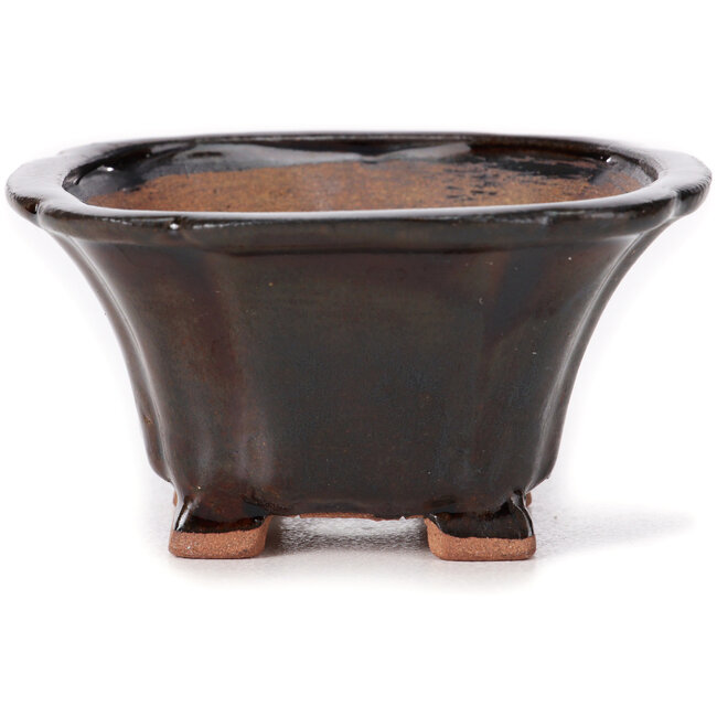 Vaso bonsai quadrato marrone di Seto - 90 x 90 x 45 mm