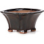 Square brown bonsai pot by Seto - 90 x 90 x 45 mm